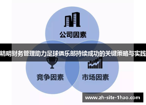 精明财务管理助力足球俱乐部持续成功的关键策略与实践