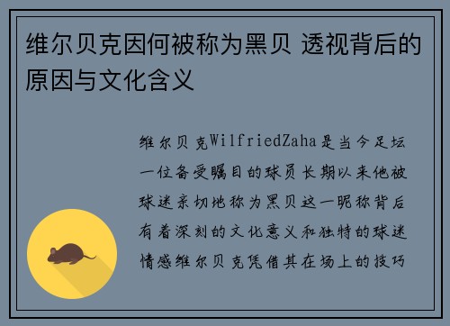 维尔贝克因何被称为黑贝 透视背后的原因与文化含义
