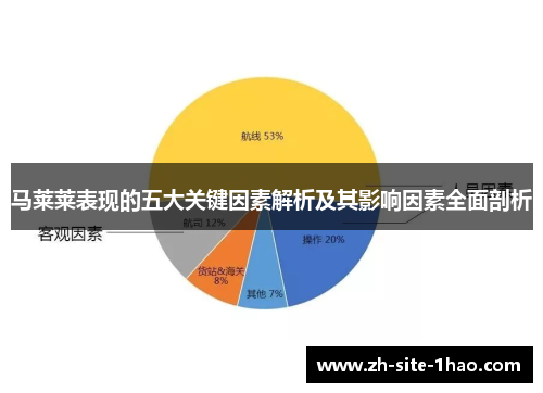 马莱莱表现的五大关键因素解析及其影响因素全面剖析 马莱莱表现的五大关键因素解析及其影响因素全面剖析